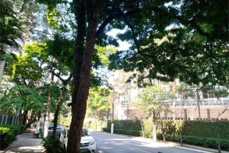 Apartamento à venda com 2 quartos, sendo 1 suíte,  em Vila Suzana, São Paulo, SP