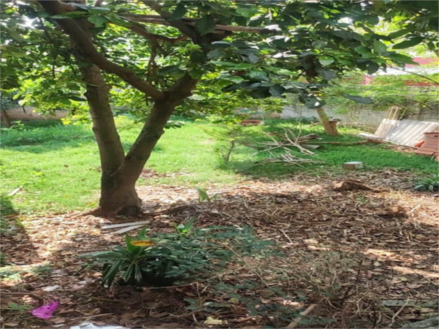 Terreno à venda em Vila Nova Mazzei, São Paulo, SP