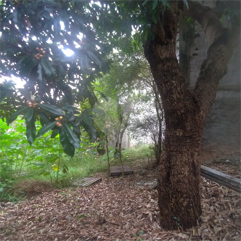 Terreno à venda em Casa Verde, São Paulo, SP