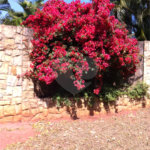 Chácara à venda com 5 quartos em Parque Planalto, Araraquara, SP