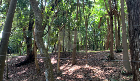 Terreno à venda no condomínio Chácara Flora, São Paulo - SP