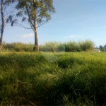 Terreno à venda em Parque Olimpico, Mogi das Cruzes, SP