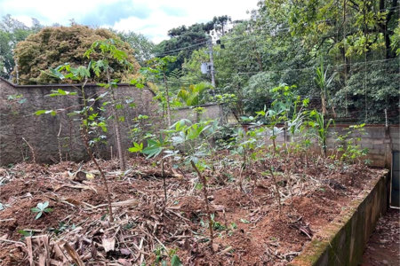 Terreno à venda em Santana, São Paulo, SP