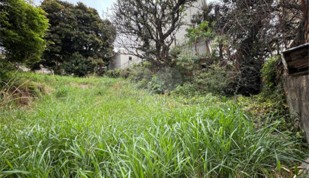 Terreno à venda em Santa Teresinha, São Paulo, SP