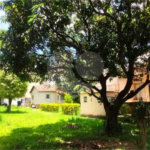 Terreno à venda com 3 quartos, sendo 1 suíte, em Vila Mazzei, São Paulo, SP