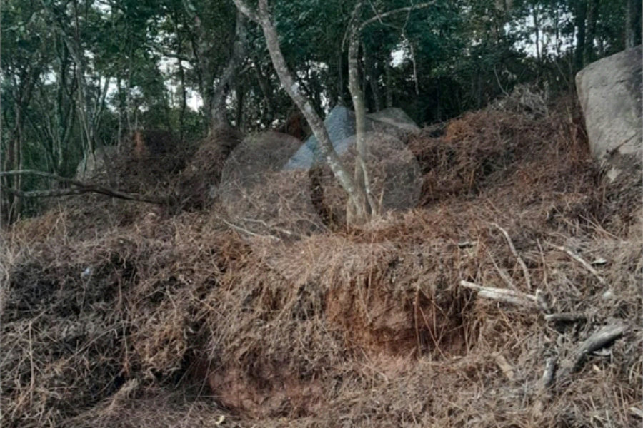 Terreno à venda no condomínio Itaguaçu da Cantareira, São Paulo - SP