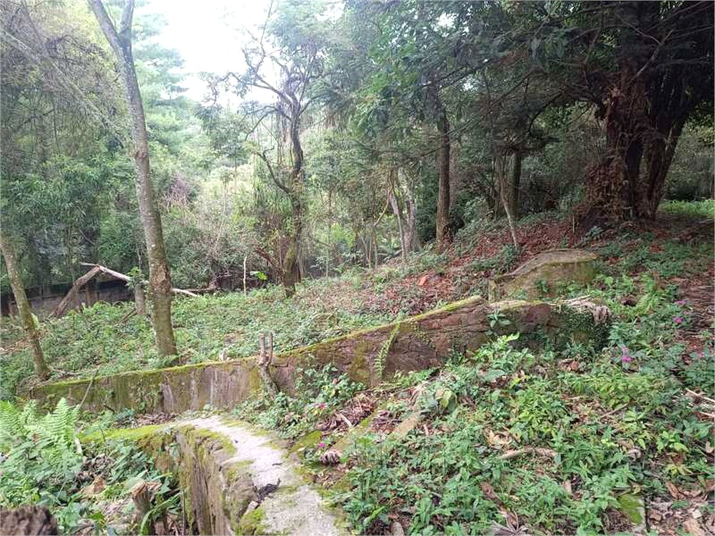 Terreno à venda no condomínio Associação Reserva das Hortênsias, Mairiporã - SP