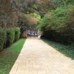 Apartamento à venda com 3 quartos em Vila Suzana, São Paulo, SP