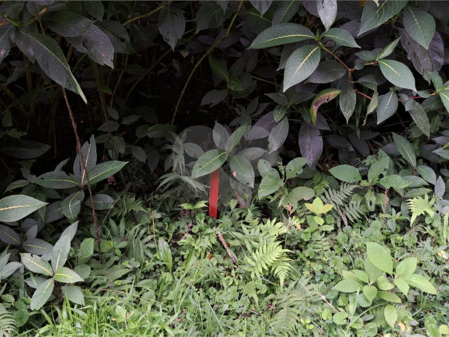 Terreno à venda no condomínio Campos de Mairiporã Gleba 1, Mairiporã - SP