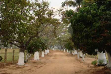 Fazenda à venda com 7 quartos, sendo 1 suíte, em Bairro Itapema, Itatiba, SP