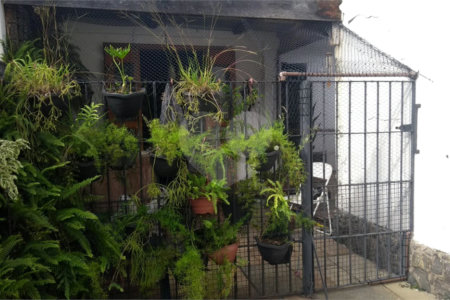 Casa Térrea à venda com 4 quartos, sendo 1 suíte, em Instituto de Previdência, São Paulo, SP