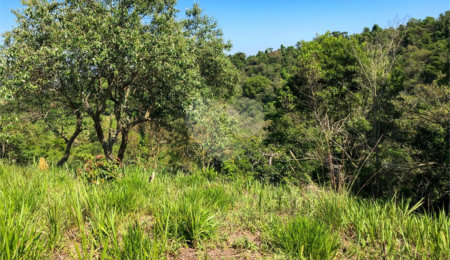 Terreno à venda em Bairro do Cambará, São Roque, SP