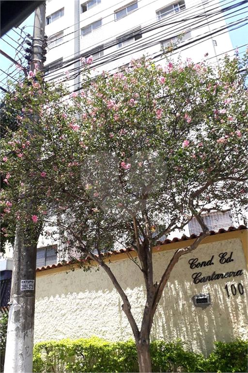 Apartamento à venda com 2 quartos em Tucuruvi, São Paulo, SP