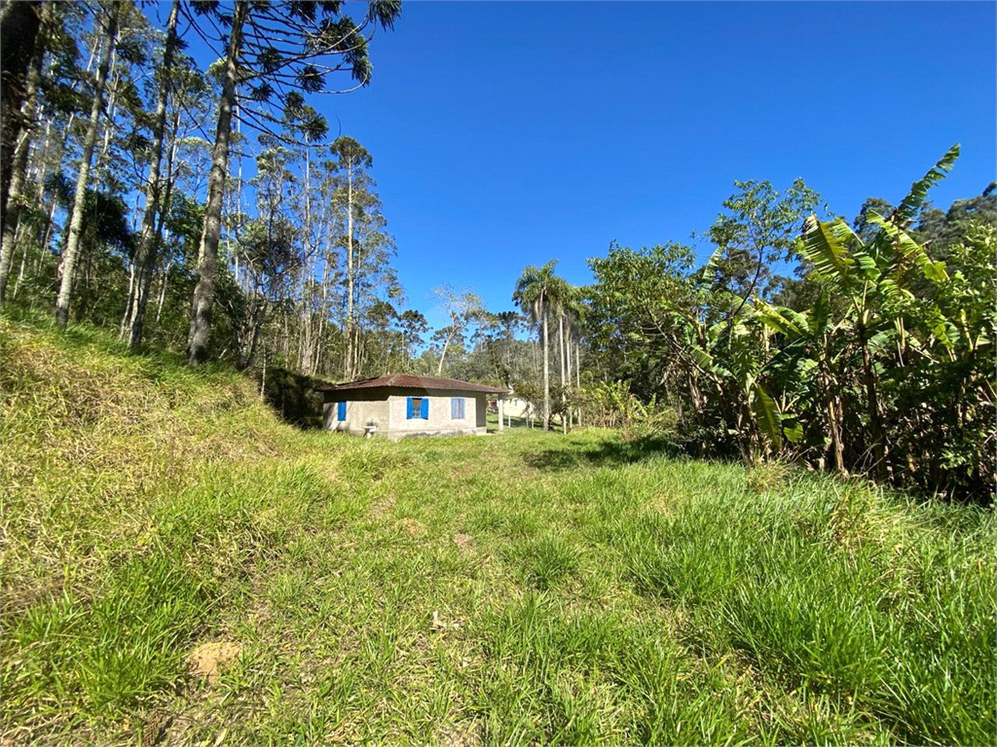 Sítio à venda com 2 quartos, sendo 1 suíte, em Ibiúna, Ibiúna, SP