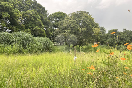 Terreno à venda em Loteamento Terras de São Pedro e São Paulo, Salto, SP