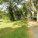 Apartamento para alugar com 4 quartos em Jardim Colombo, São Paulo, SP