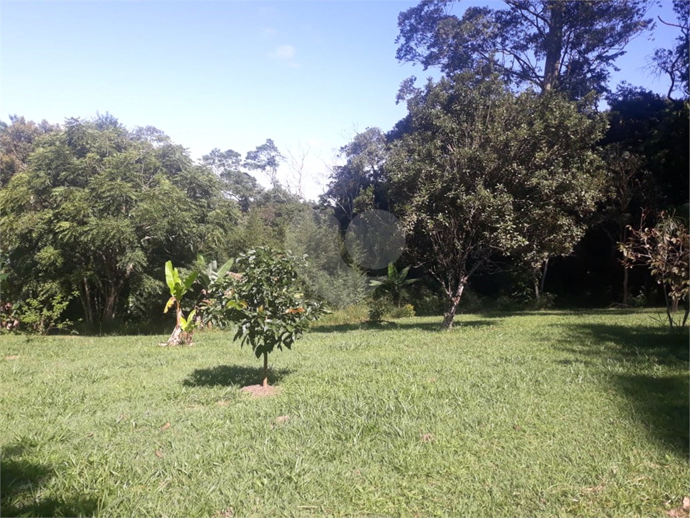 Chácara à venda com 3 quartos, sendo 2 suítes,  em Vila Darcy Penteado (mailasqui), São Roque, SP
