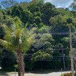 Casa à venda ou para alugar com 4 suítes no condomínio Estância Marambaia, Vinhedo - SP