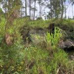 Terreno à venda no condomínio Gleba E1 E2, Mairiporã - SP