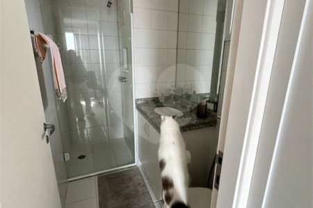 Apartamento à venda com 4 quartos, sendo 3 suítes,  em Lar São Paulo, São Paulo, SP