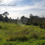 Terreno à venda em Vila Darcy Penteado (mailasqui), São Roque, SP