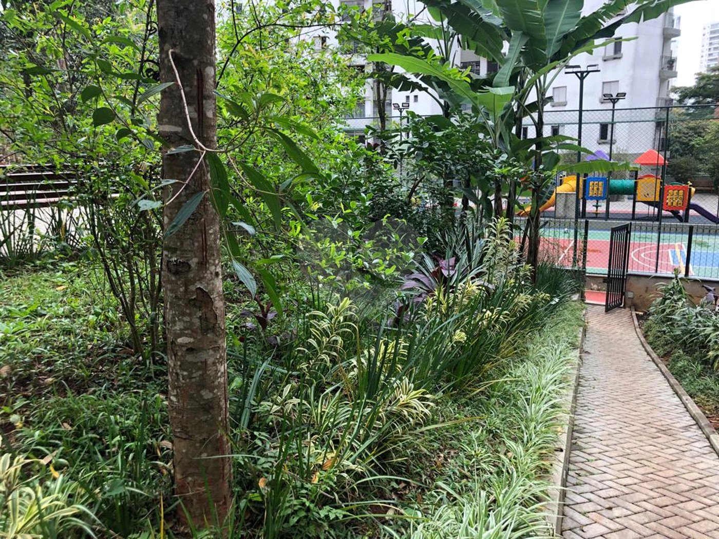 Apartamento à venda com 3 quartos, sendo 1 suíte, em Vila Andrade, São Paulo, SP
