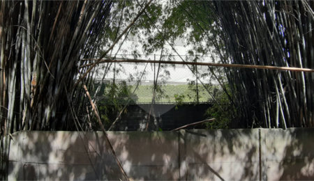 Terreno à venda em Santa Teresinha, São Paulo, SP