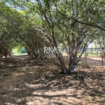 Casa à venda ou para alugar com 3 suítes em Jardim Theodora, Itu, SP