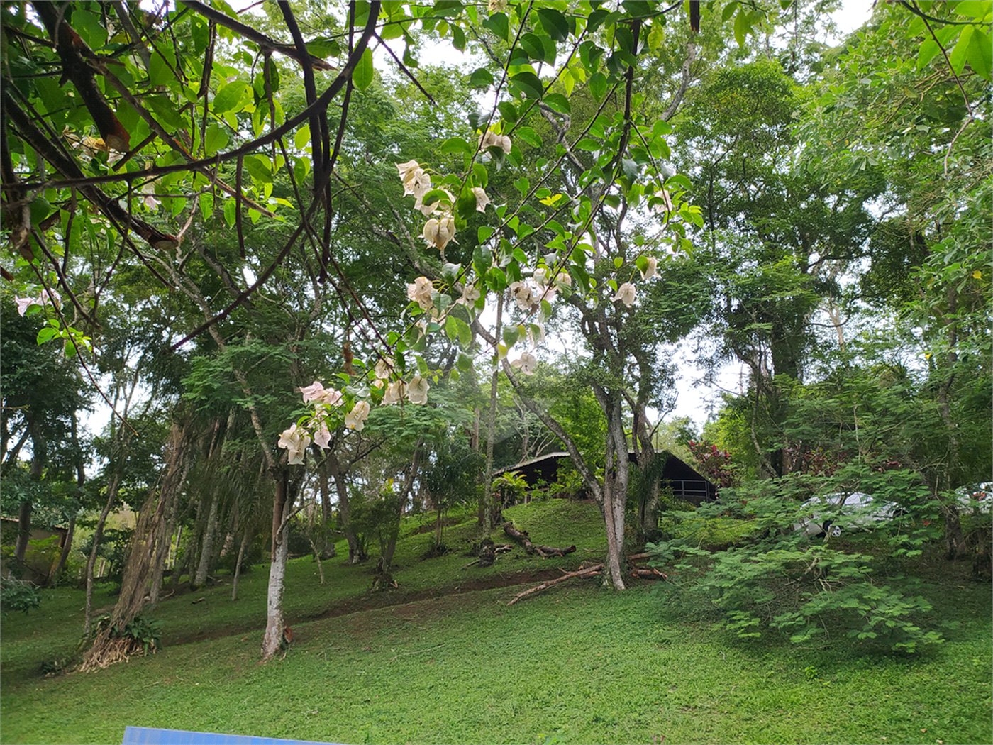 Casa à venda com 2 quartos no condomínio Céu Azul, Mairiporã - SP