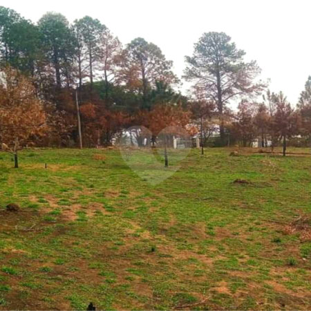 Sítio à venda com 3 quartos, sendo 1 suíte, em City Castello, Itu, SP