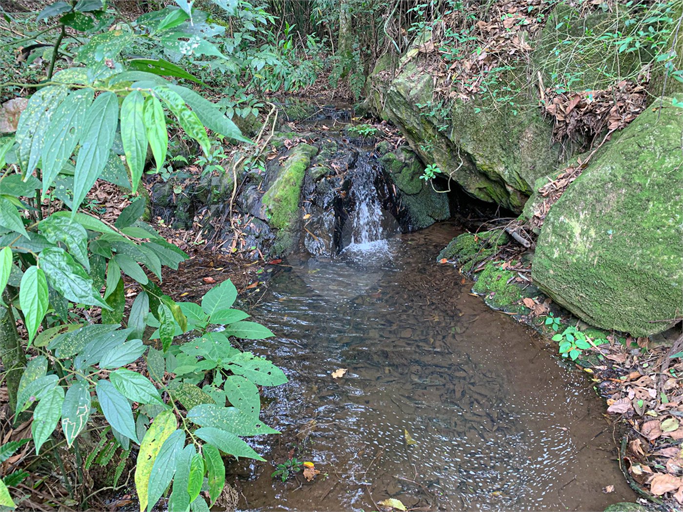 Sítio à venda com 4 quartos, sendo 2 suítes, em Jardim Guaçu, São Roque, SP