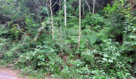 Terreno à venda no condomínio Sausalito, Mairiporã - SP