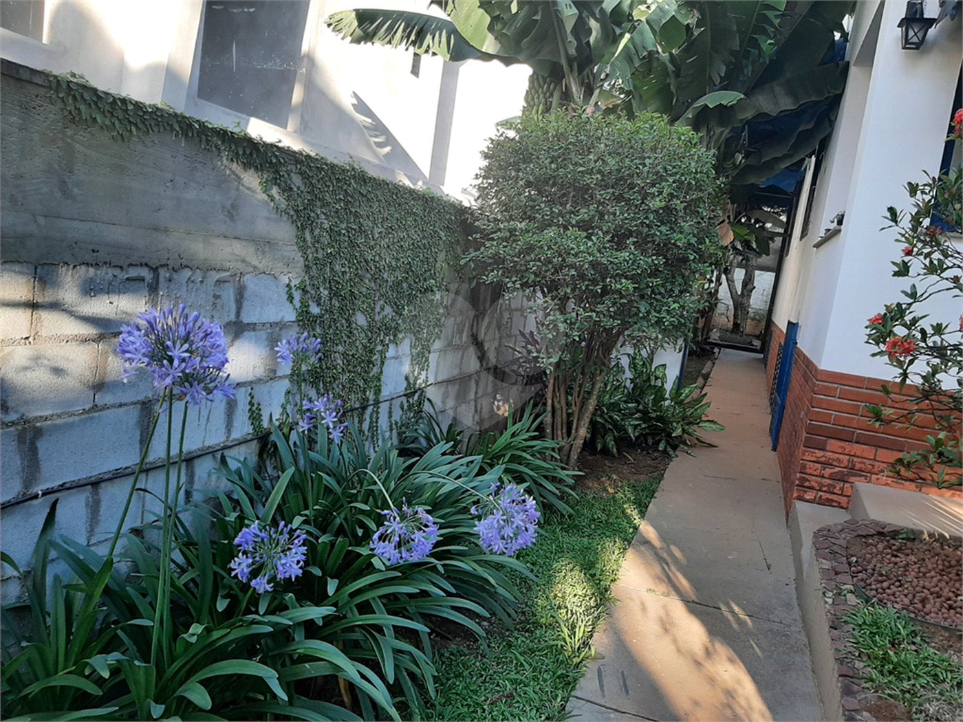 Casa Térrea à venda com 3 quartos em Horto Florestal, São Paulo, SP