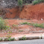 Terreno à venda em Vila Albertina, São Paulo, SP