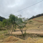 Sítio à venda no Centro, Sapucaí-mirim, MG