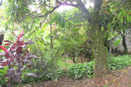 Sobrado à venda com 3 quartos, sendo 1 suíte,  em Vila São Francisco, São Paulo, SP