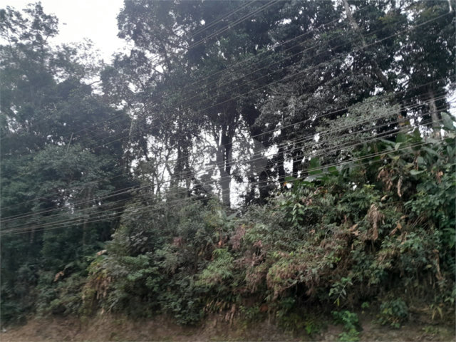 Terreno à venda em Serra da Cantareira, Mairiporã, SP
