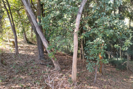 Terreno à venda em Loteamento Vale Azul I, Jundiaí, SP