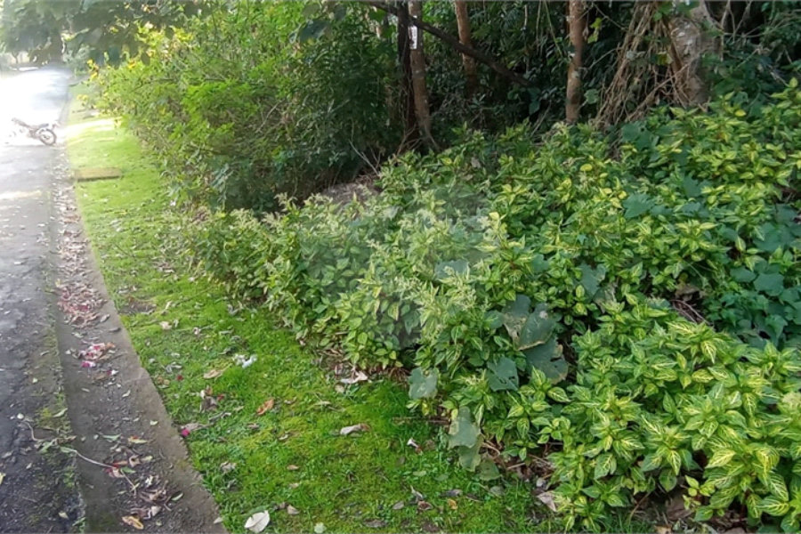 Terreno à venda no condomínio Sausalito, Mairiporã - SP