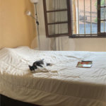 Casa à venda com 3 quartos em Jardim Santa Mena, Guarulhos, SP
