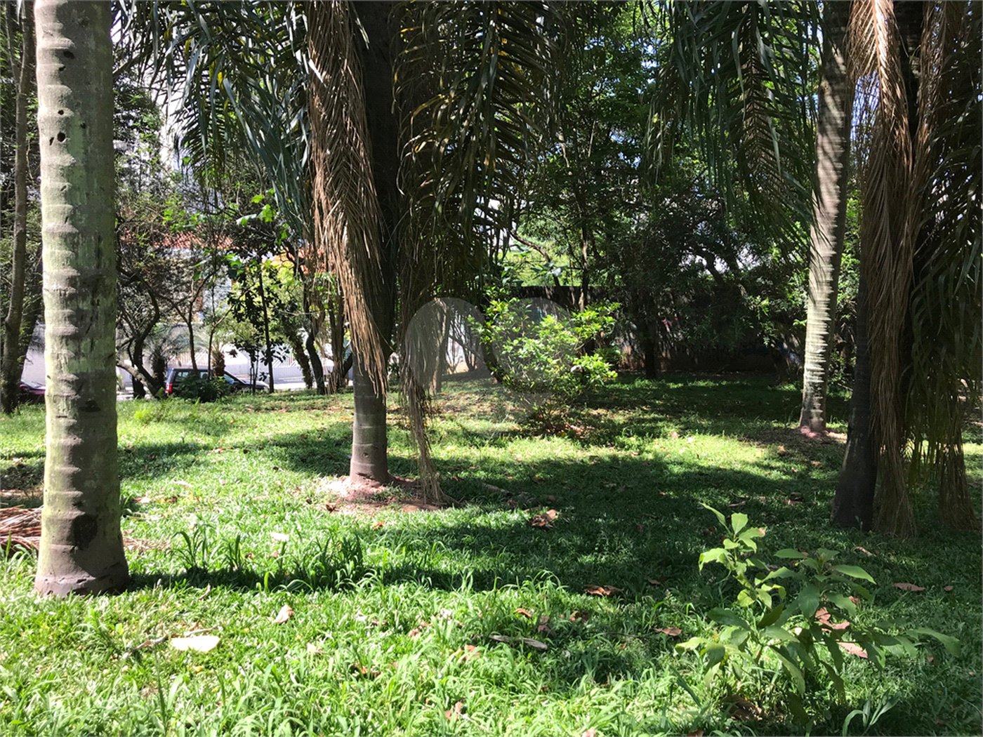 Terreno à venda em Lar São Paulo, São Paulo, SP