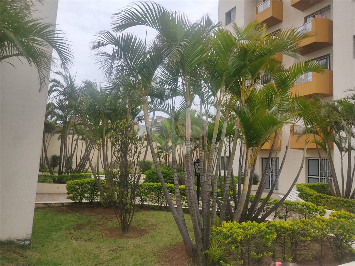 Apartamento à venda com 2 quartos em Vila Medeiros, São Paulo, SP