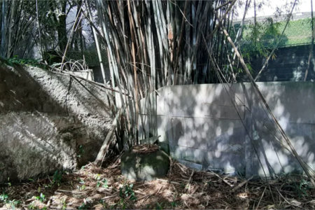 Terreno à venda em Santa Teresinha, São Paulo, SP