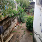 Casa à venda com 2 quartos em Jardim Europa, Sorocaba, SP