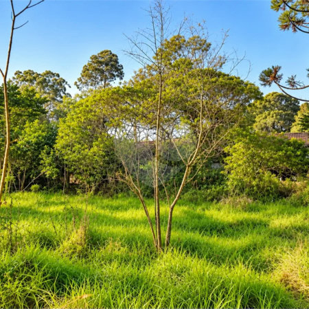 Terreno à venda em Interlagos, São Paulo, SP