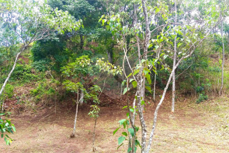 Sítio à venda no Centro, Monte Sião, MG