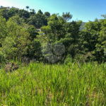 Terreno à venda em Bairro do Cambará, São Roque, SP