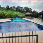 Apartamento à venda com 2 quartos em Jardim Jaqueline, São Paulo, SP