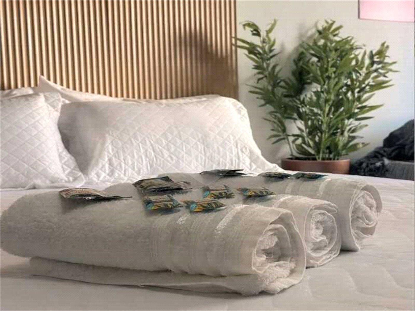 Apartamento à venda com 1 quarto em Santo Cristo, Rio de Janeiro, RJ