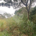 Terreno à venda em Ferradura, Armação dos Búzios, RJ